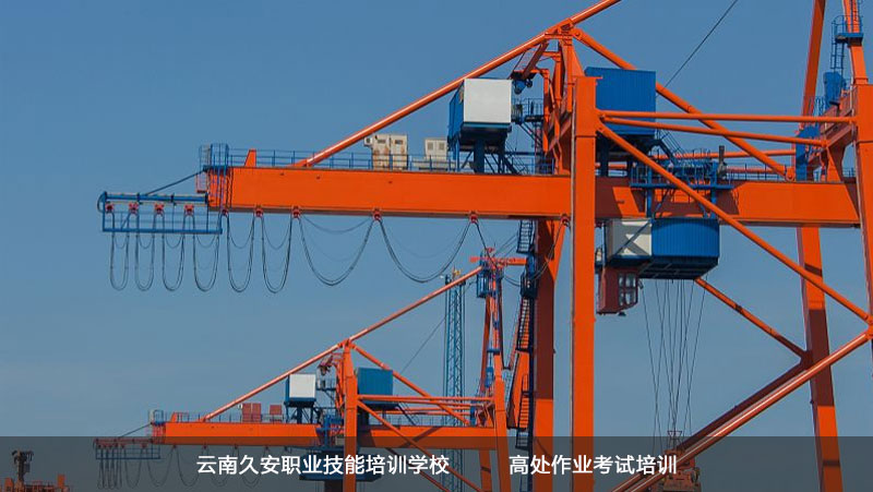 ���ϸ�̎���I��Ӗ