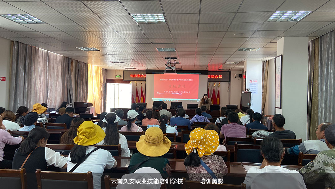 2022�ꄦ���h�����(zh��n)�B(y��ng)���o��T�I(y��)������Ӗ�����_���Y