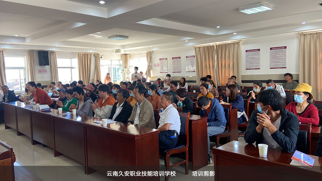 2022�ꄦ���h���A��B���o��T���İ��_���Y