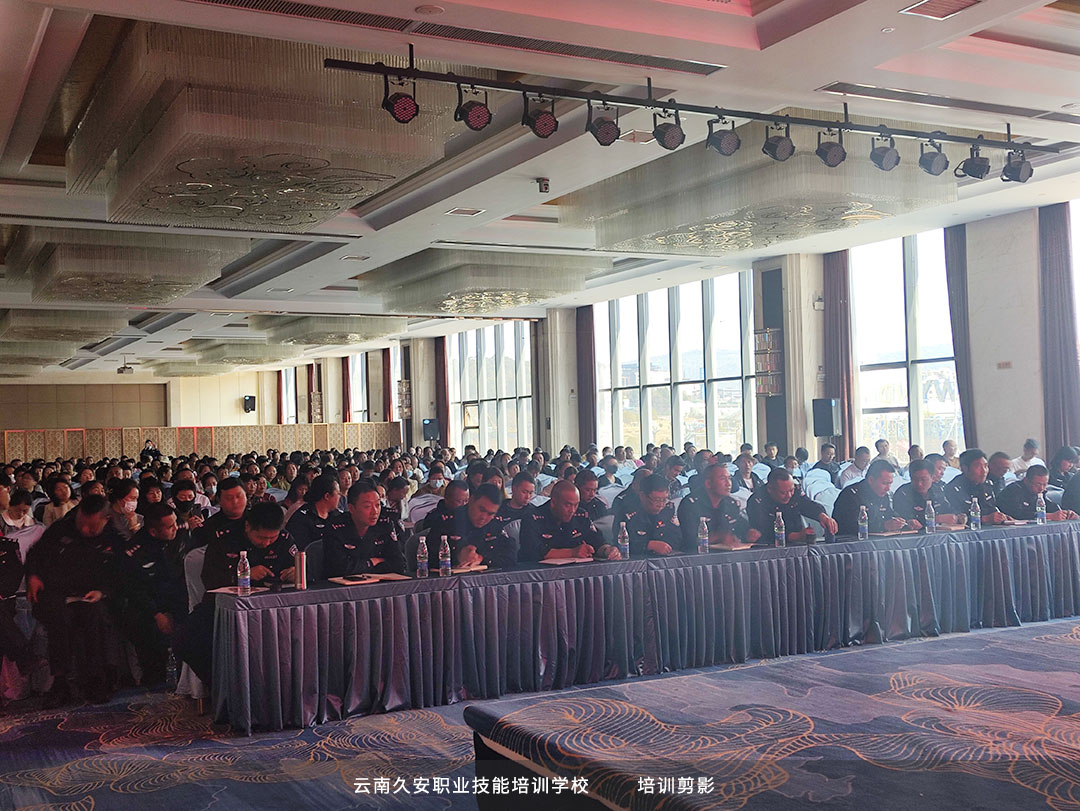 ��У�M�����_2024��Ȱ�����������ȫ���г������Դ�������Ӗ��