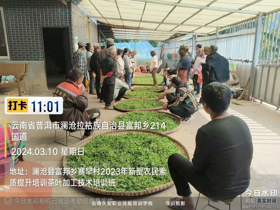 由我校承辦的2024年新型農民素質提升培訓“茶葉加工技術培訓”班開班 由我校承辦的2024年新型農民素質提升培訓“茶葉加工技術培訓”班開班